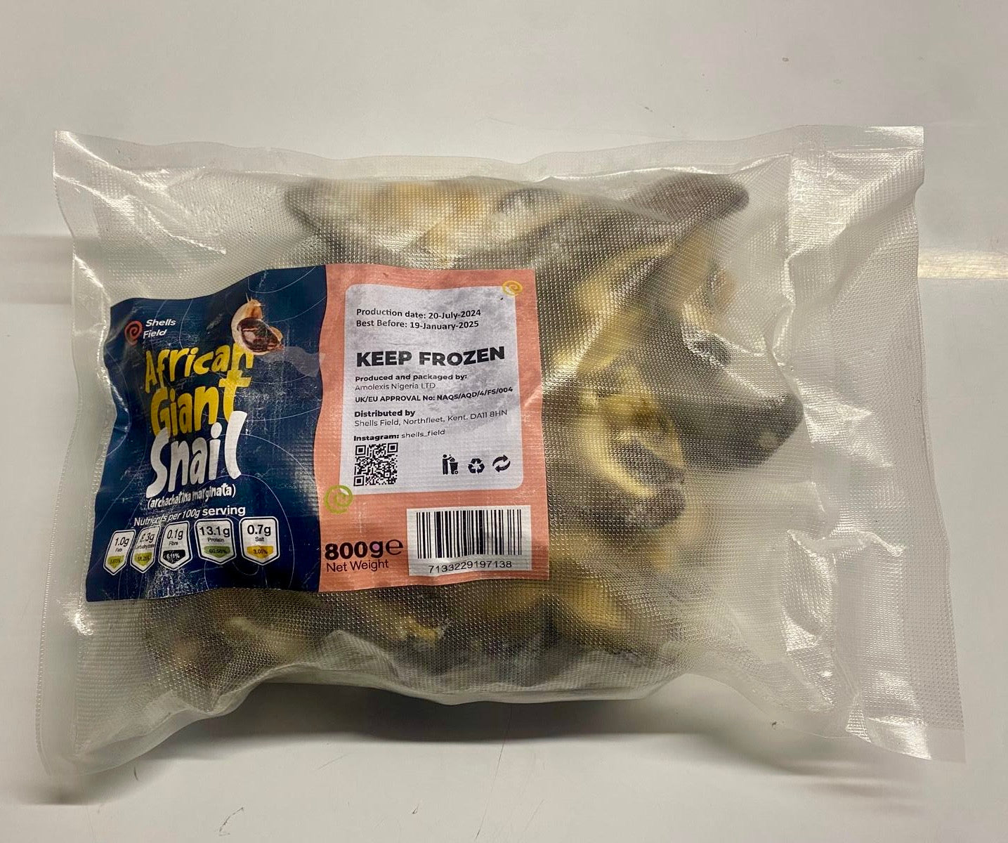 15 Large Bush African Giant Snails (~1KG)