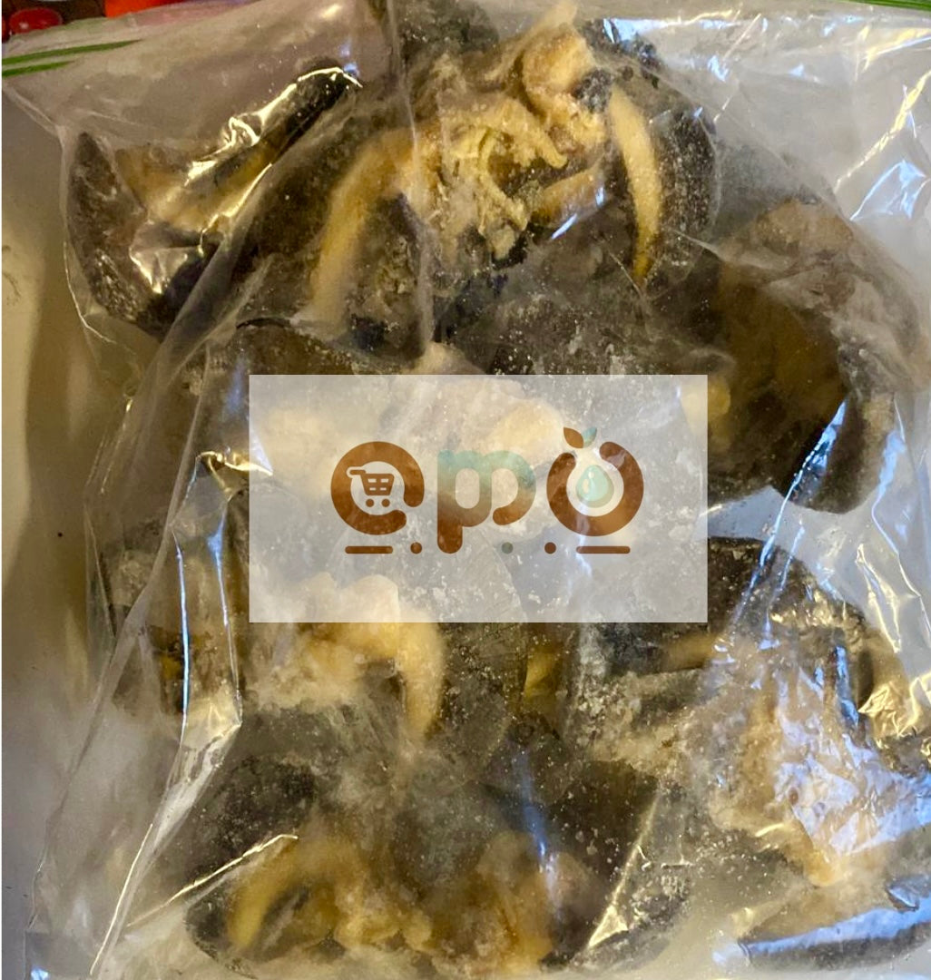 15 Large Bush African Giant Snails (~1KG)
